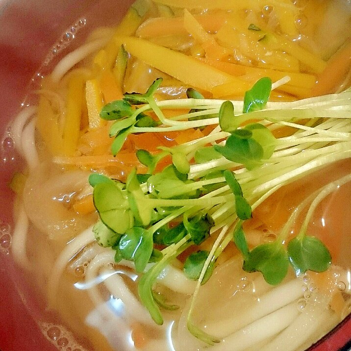 たっぷり野菜の生姜うどん